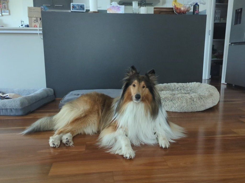 image-12