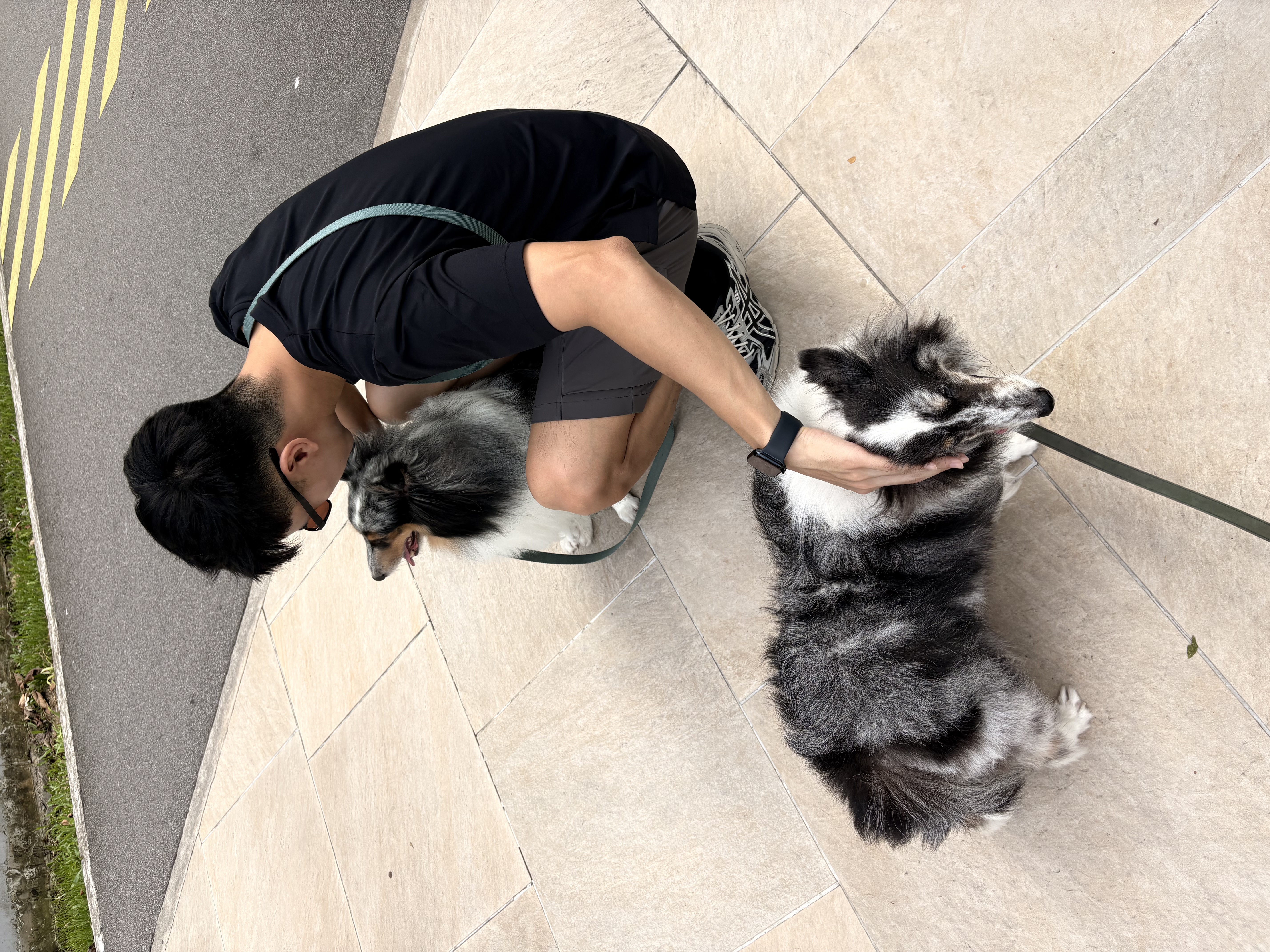 image-7
