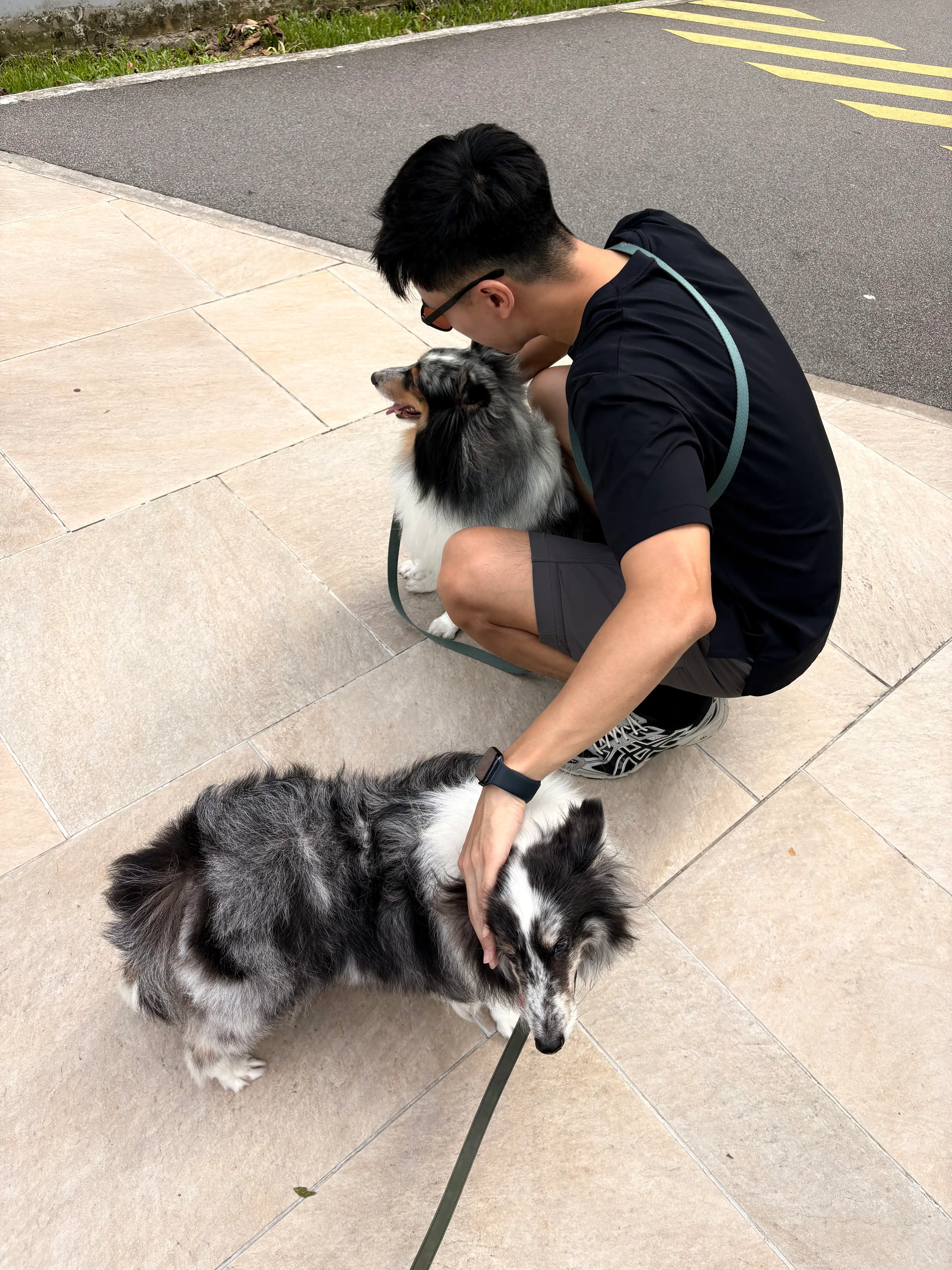 image-7
