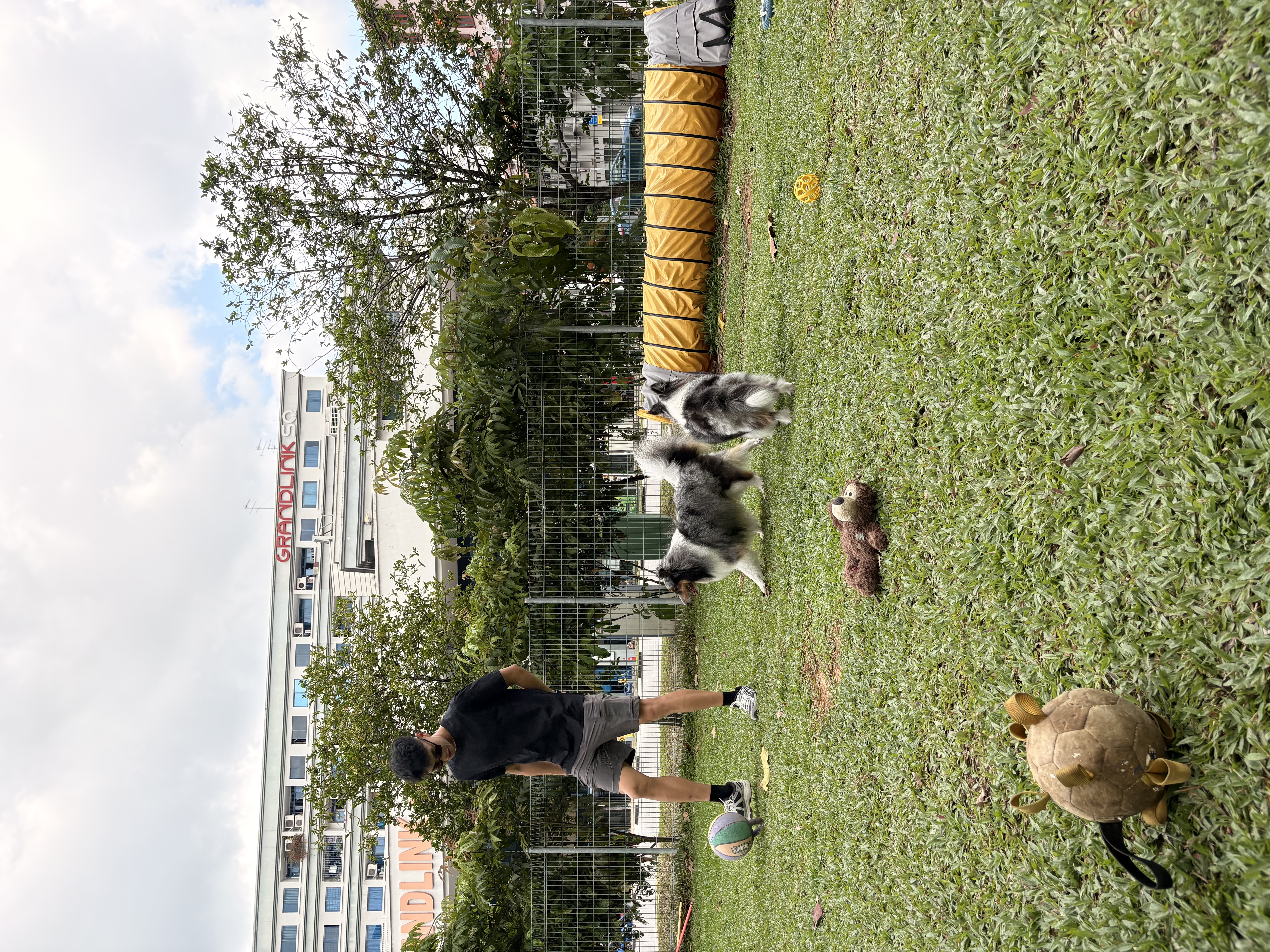 image-2
