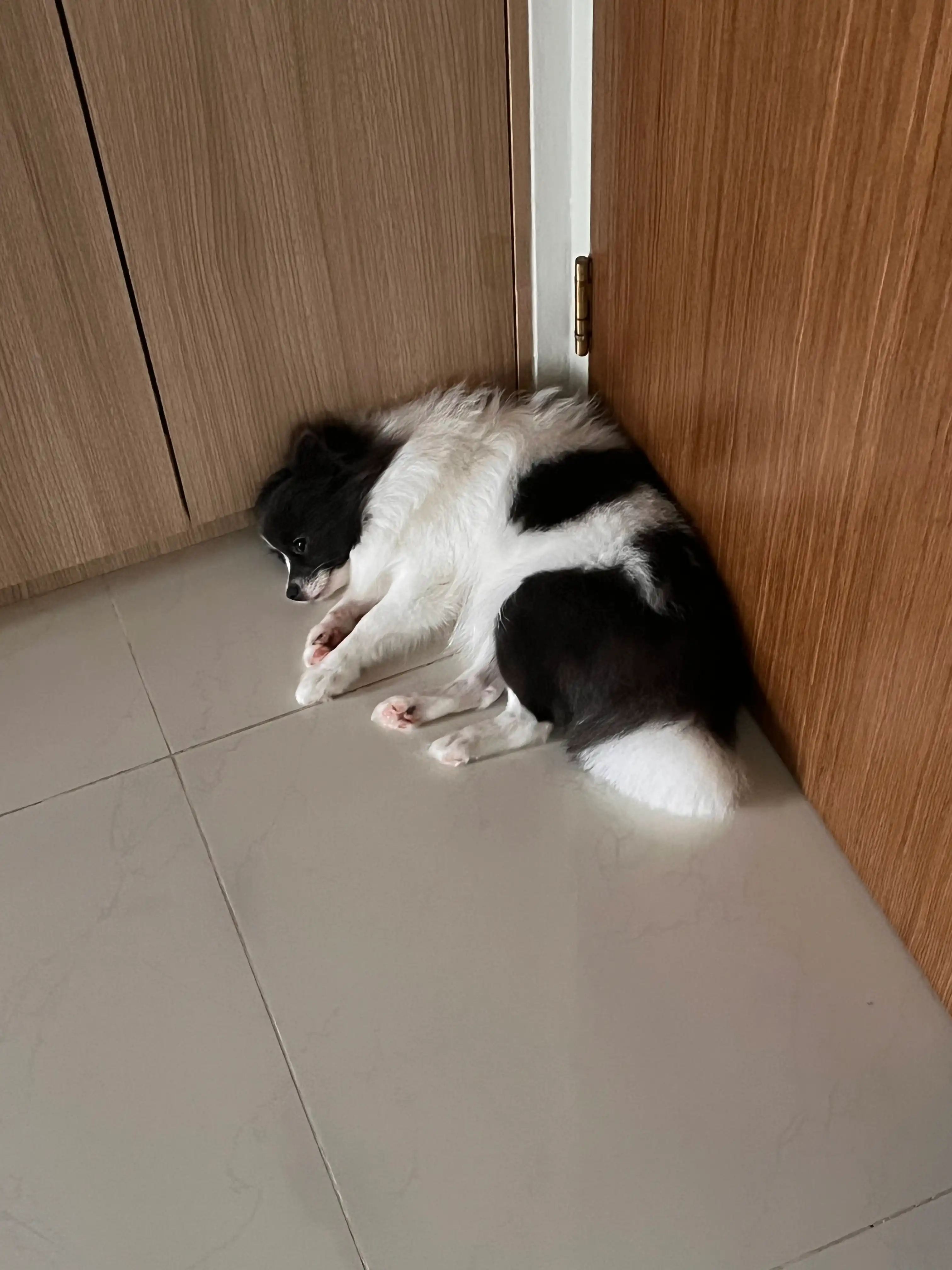image-12