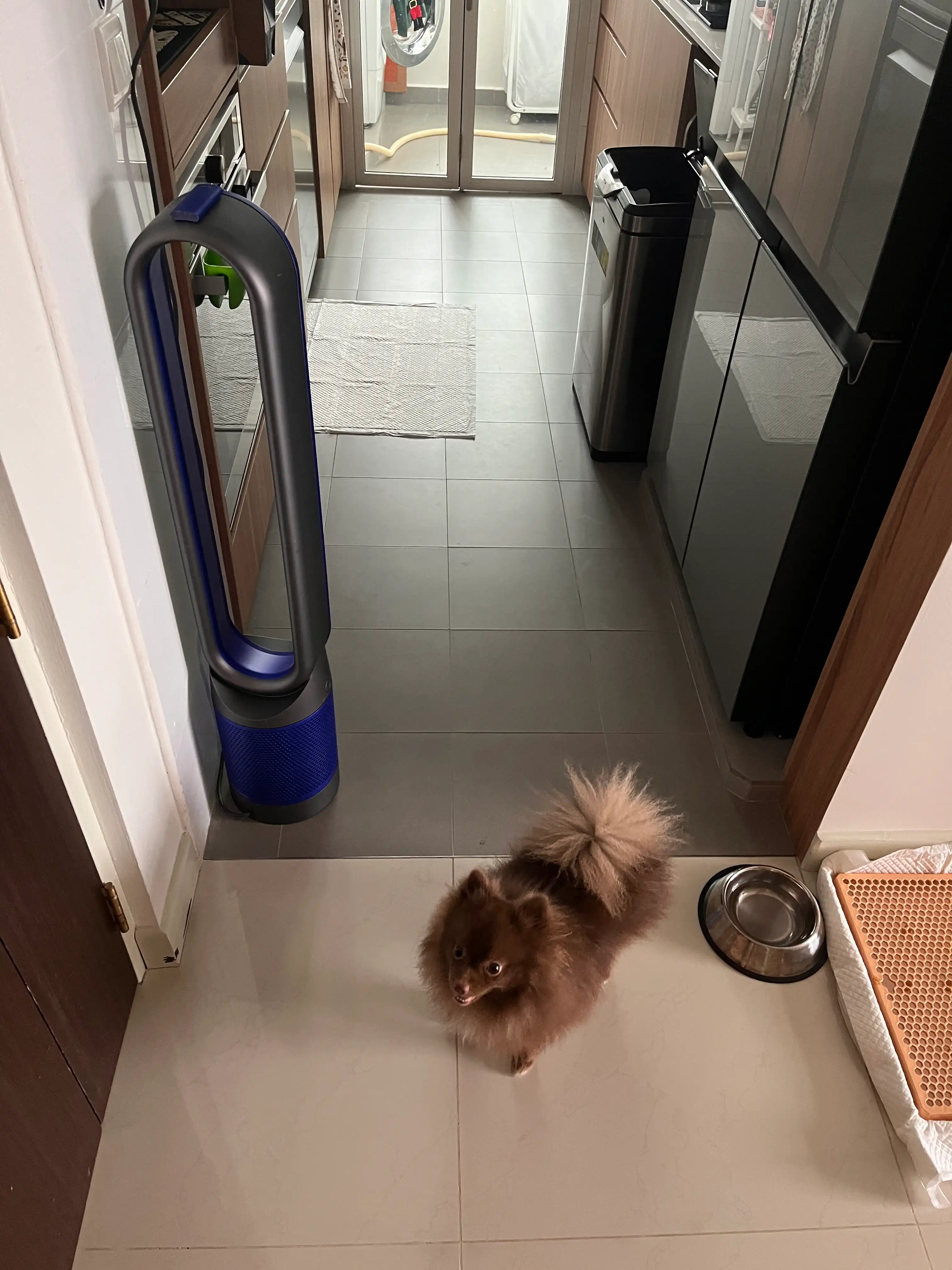 image-9
