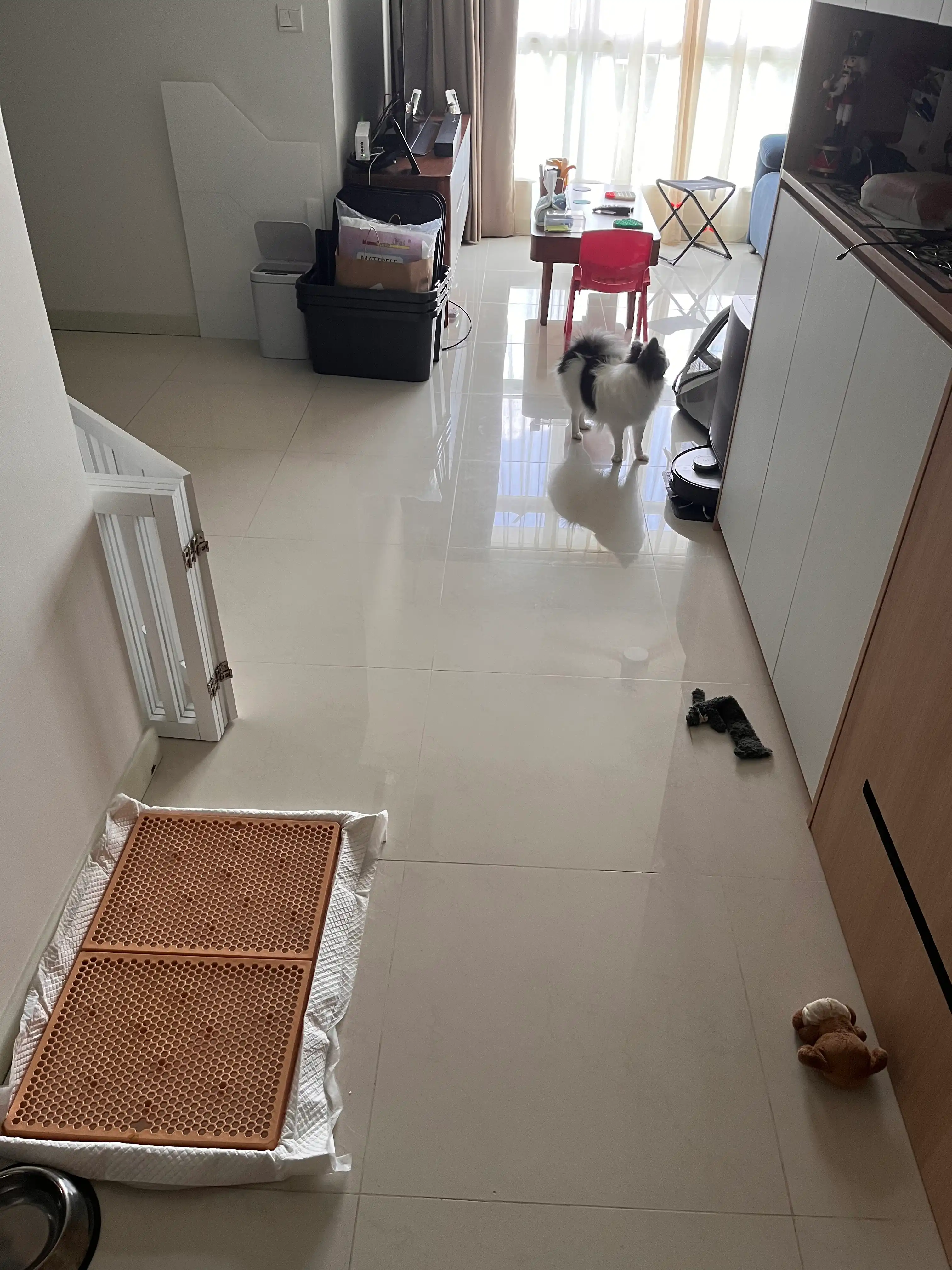 image-8