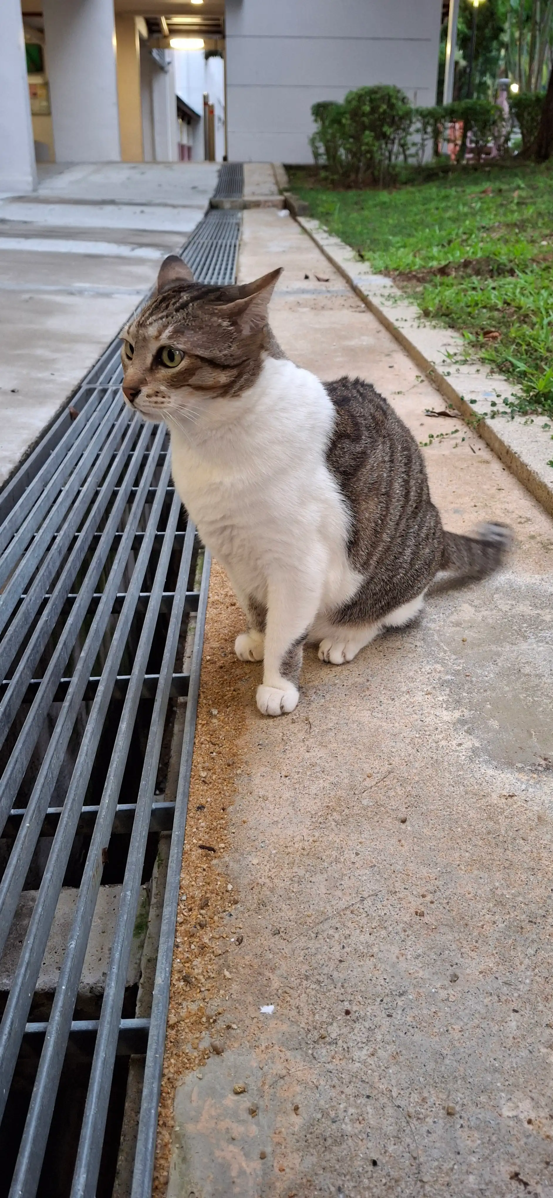 image-10