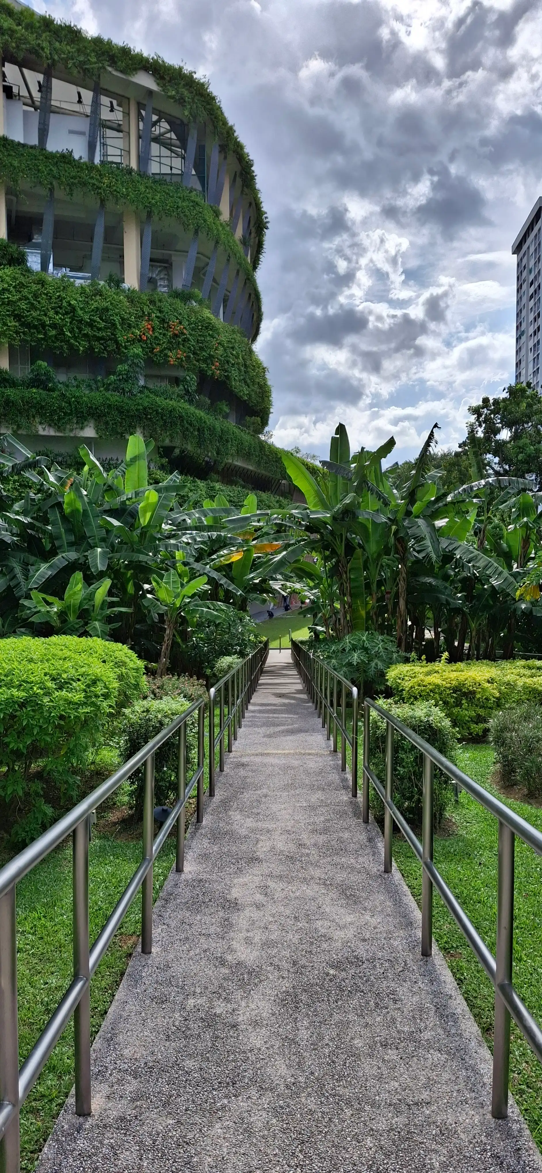 image-19