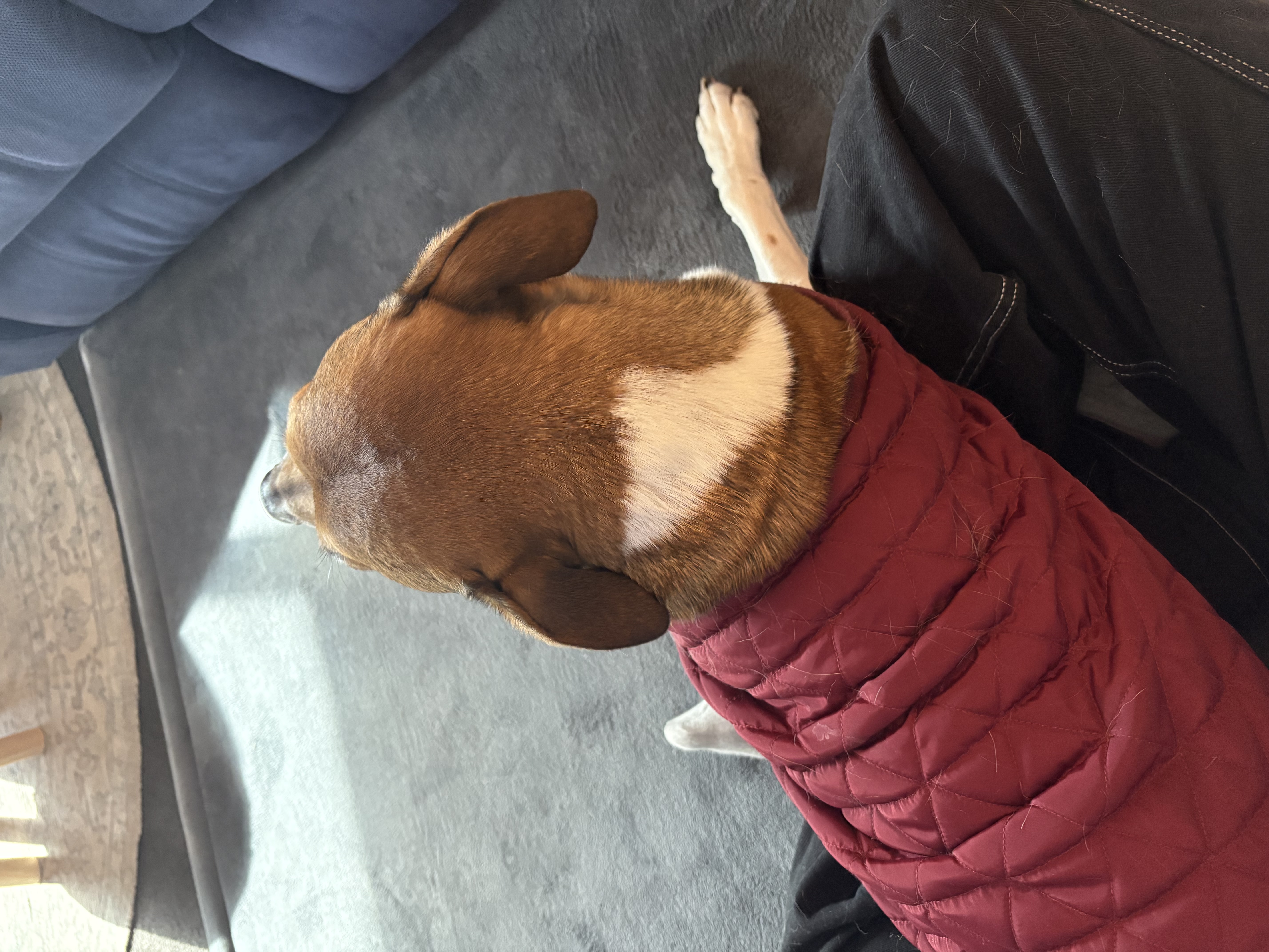 image-7