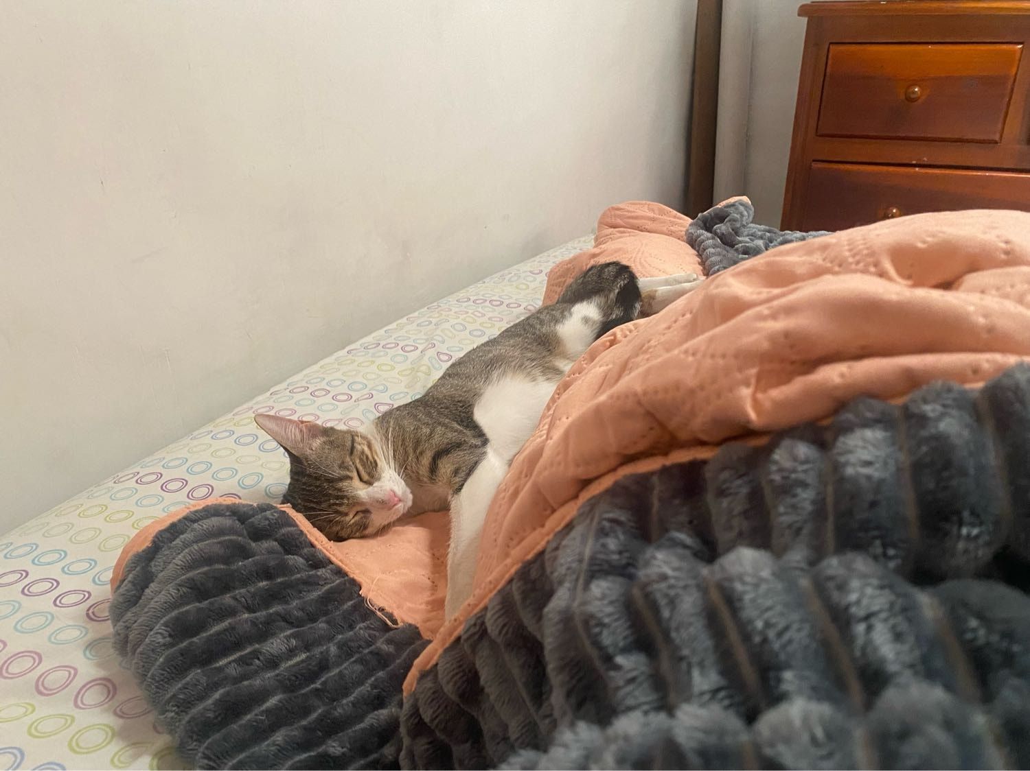 image-9