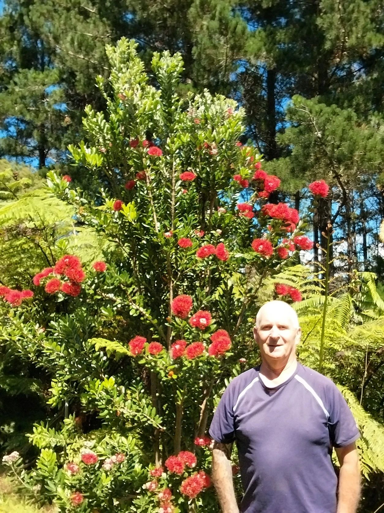 image-7