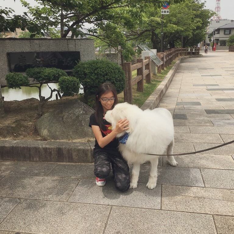 image-8