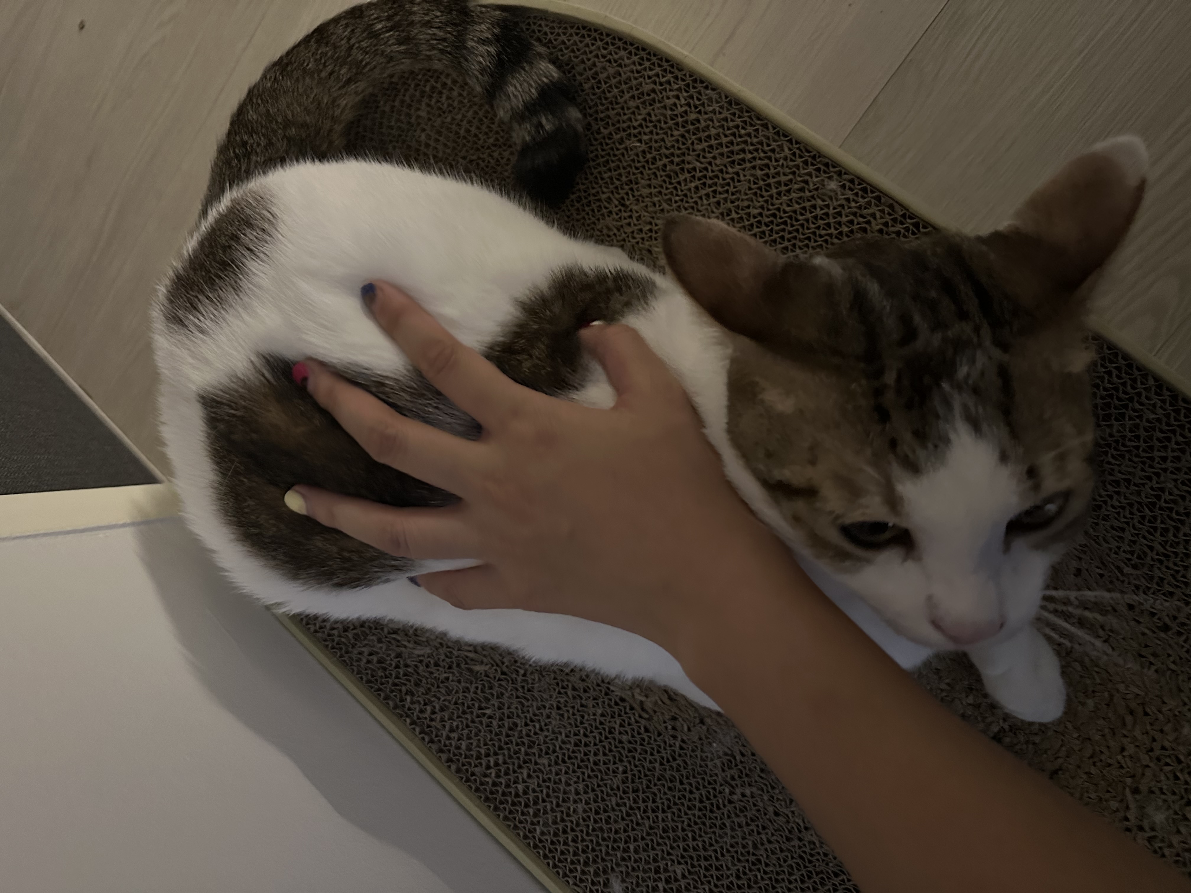 image-12