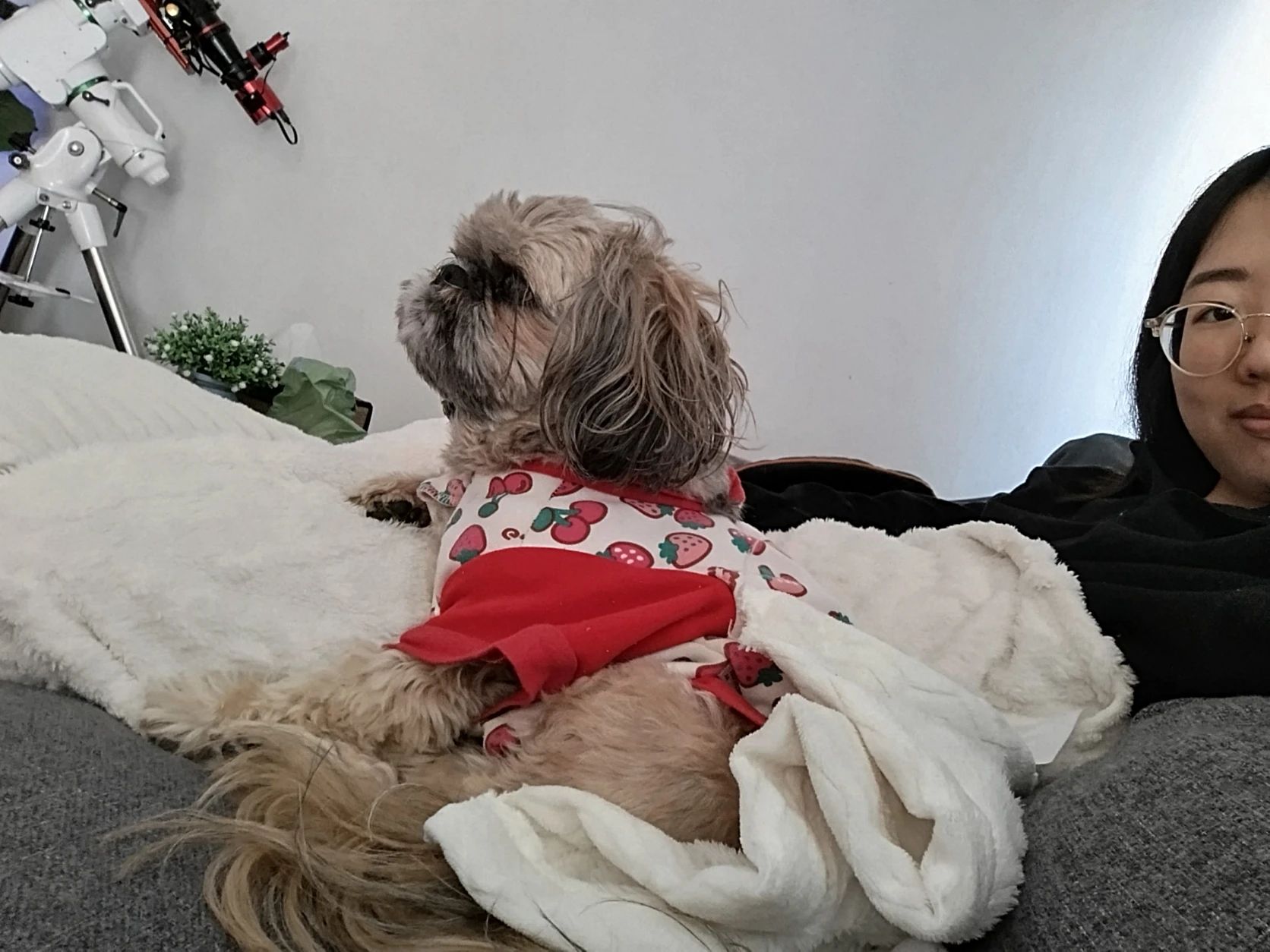 image-4