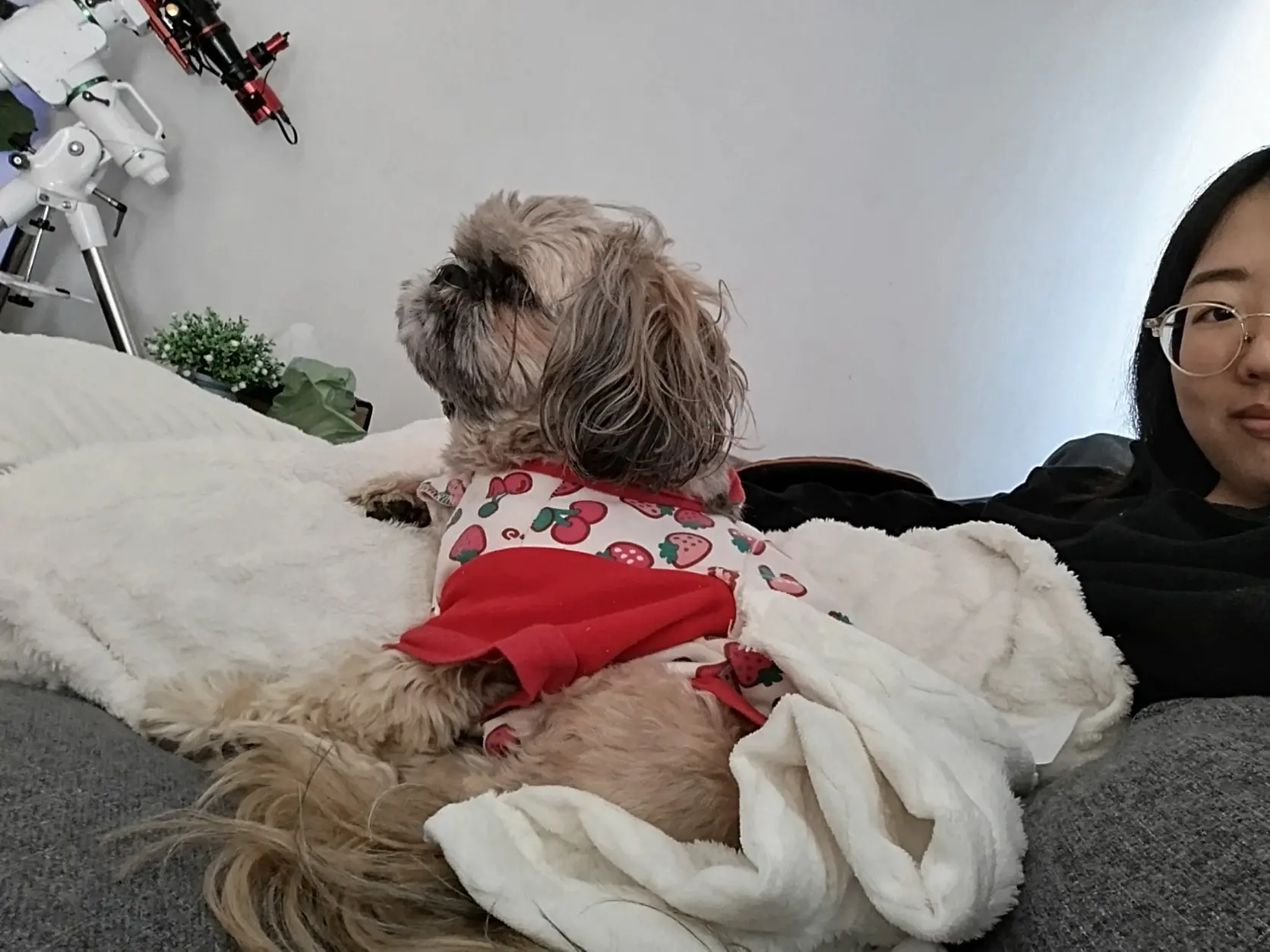 image-4