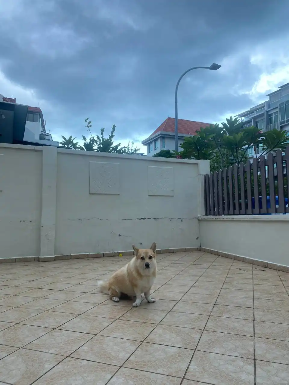 image-16