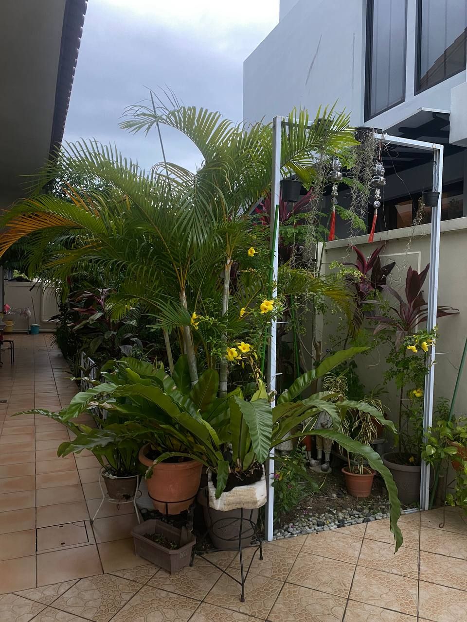 image-19