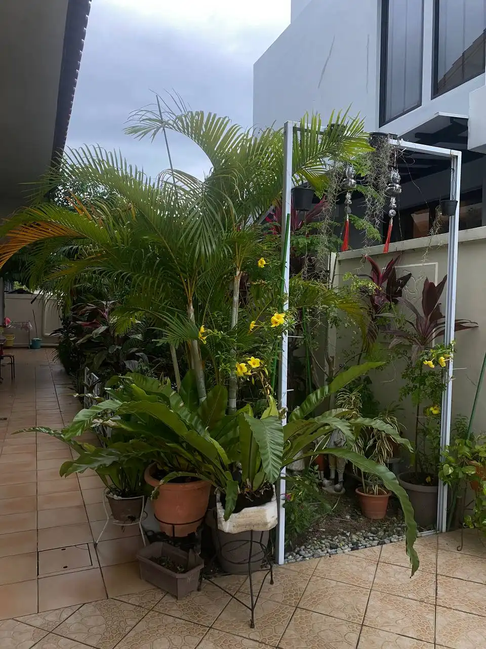 image-19