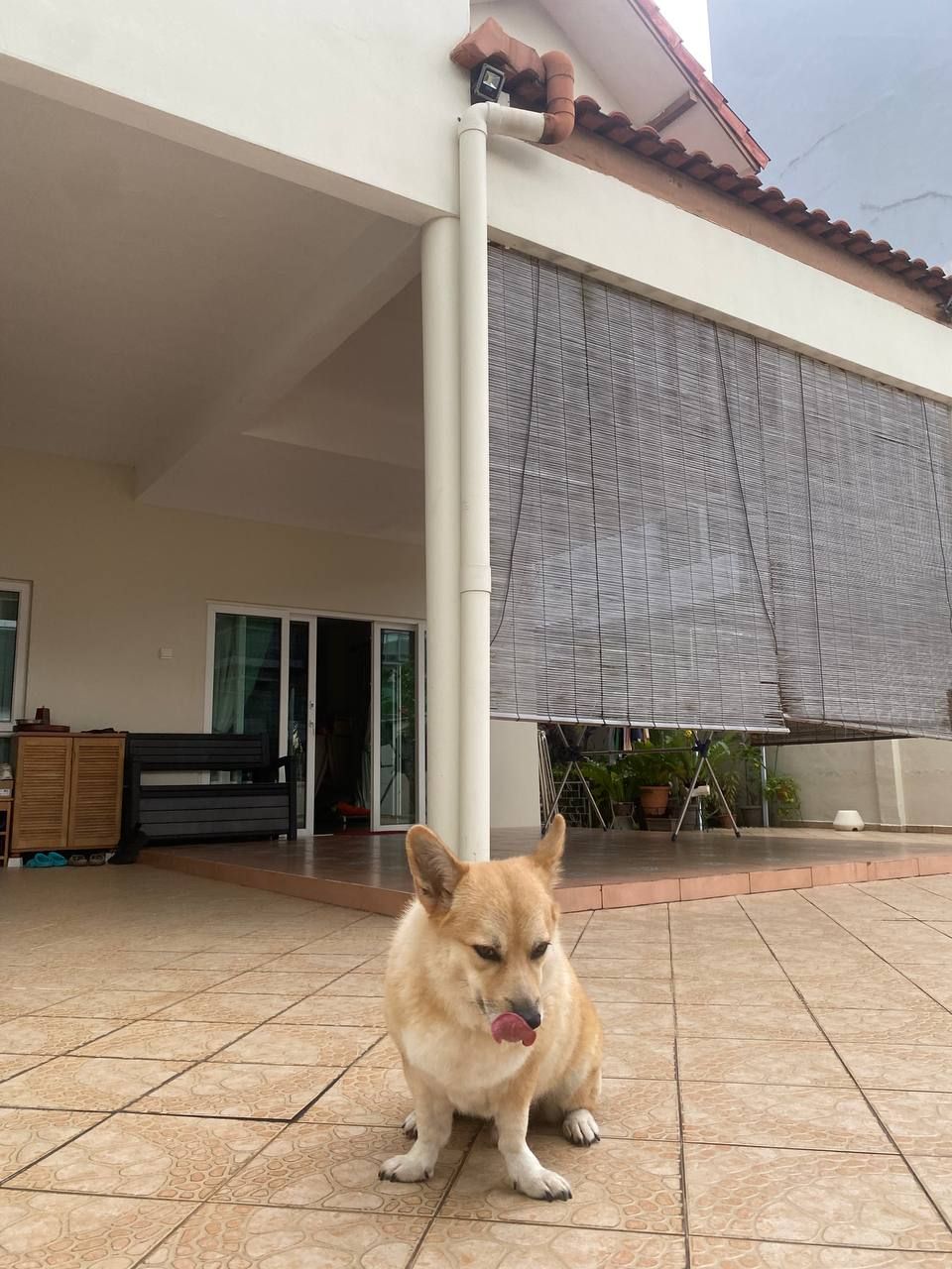 image-15