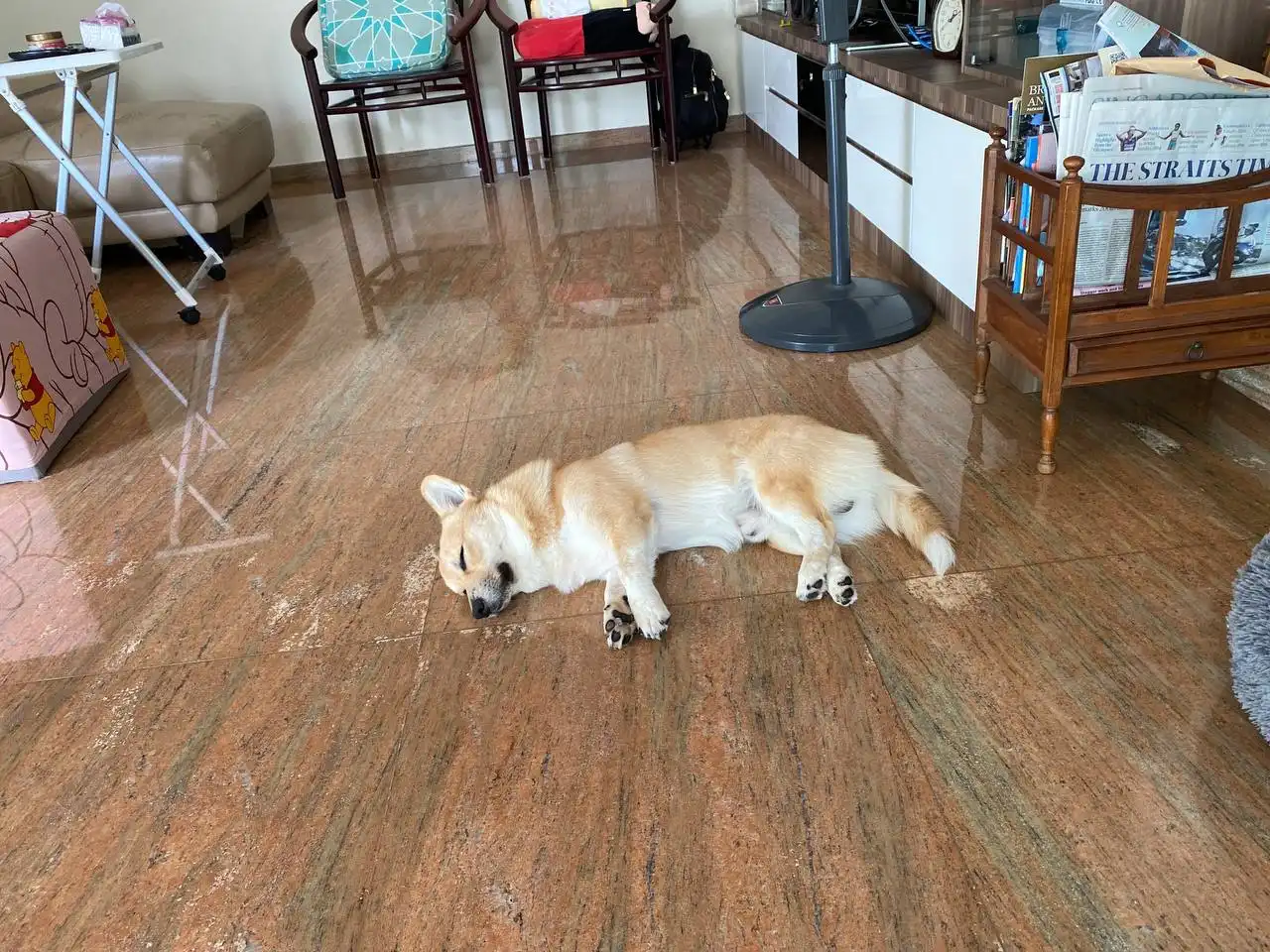 image-21
