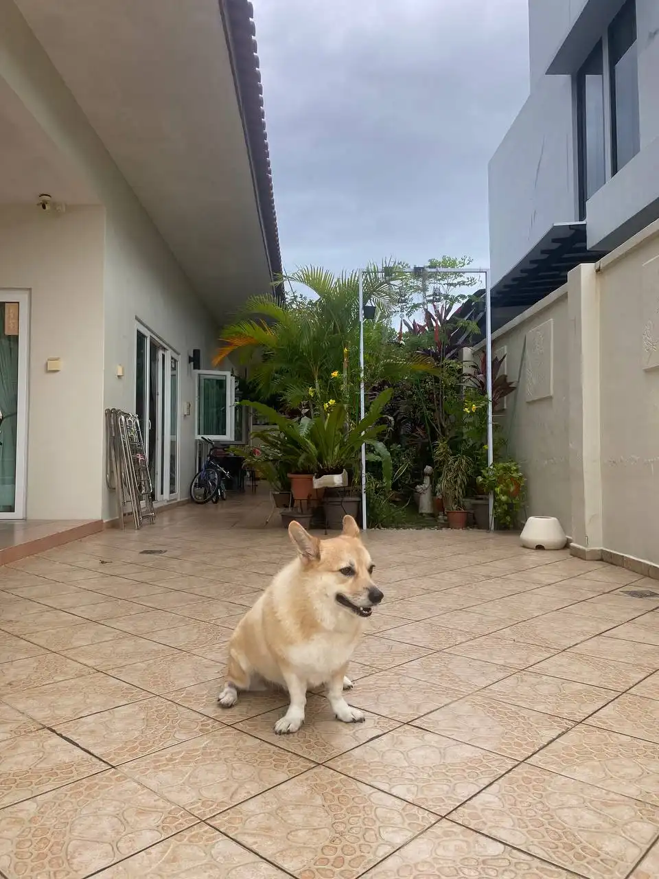 image-17