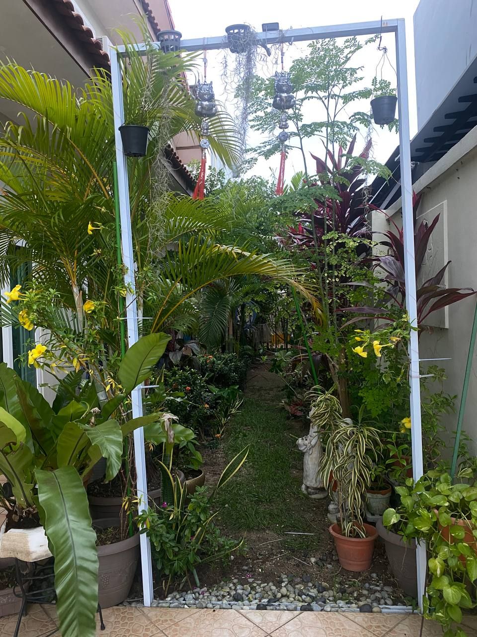 image-20