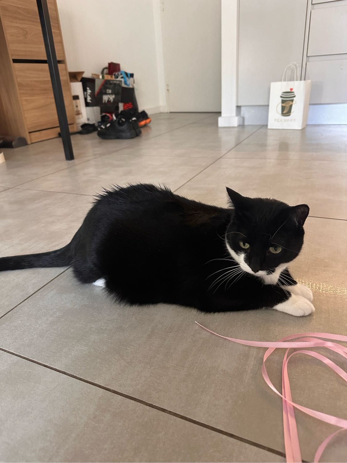 image-12