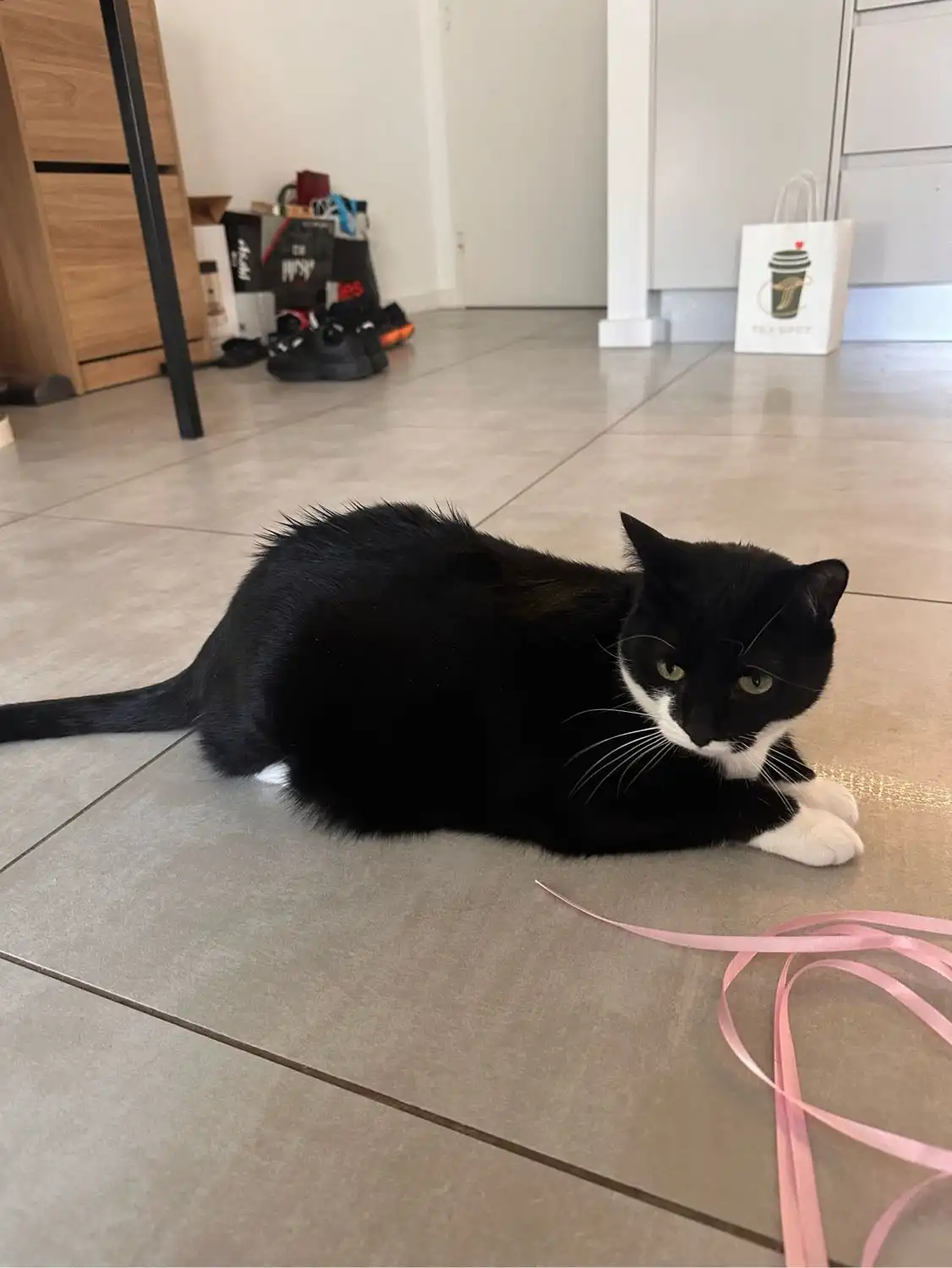 image-12