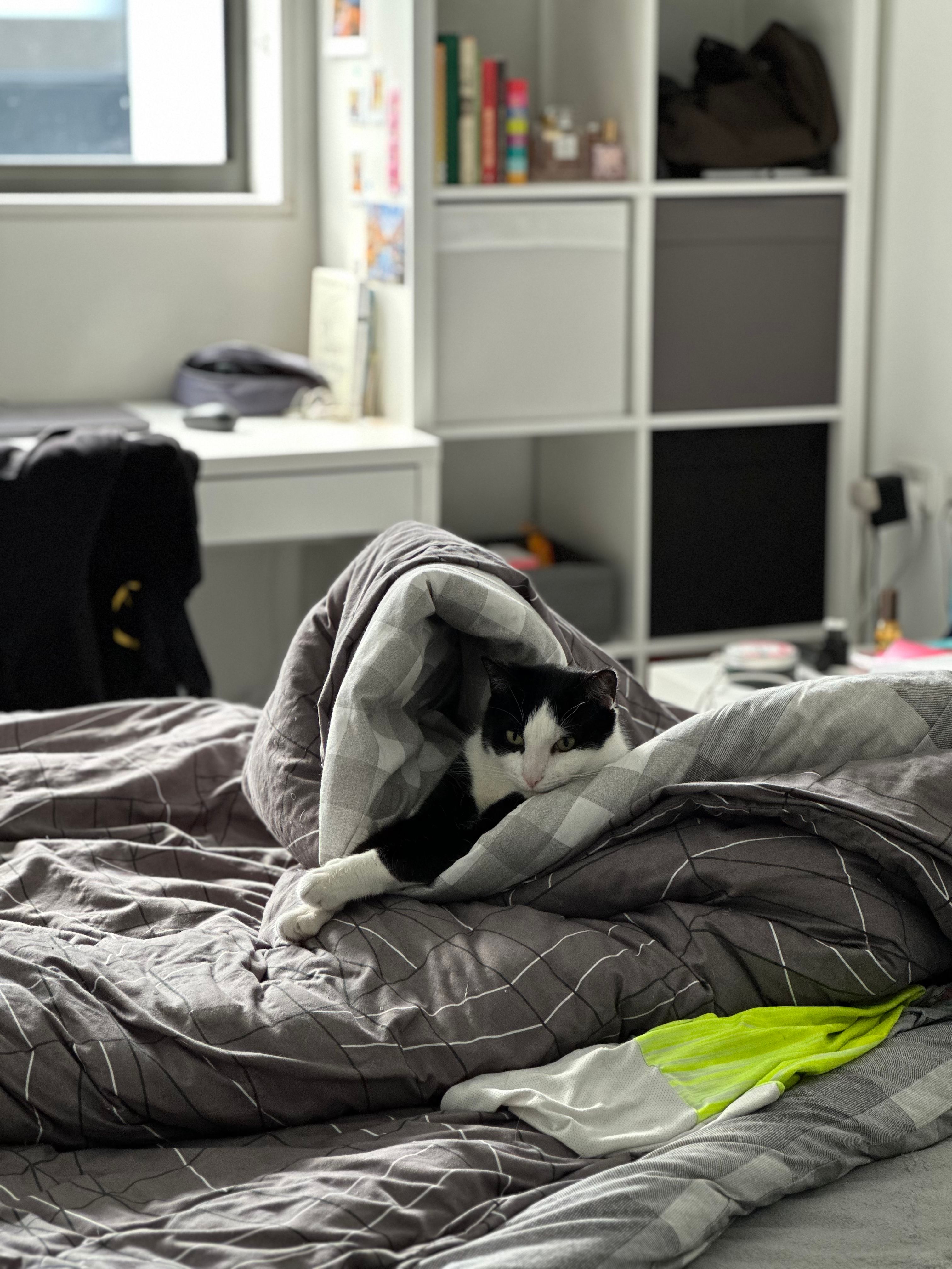 image-14