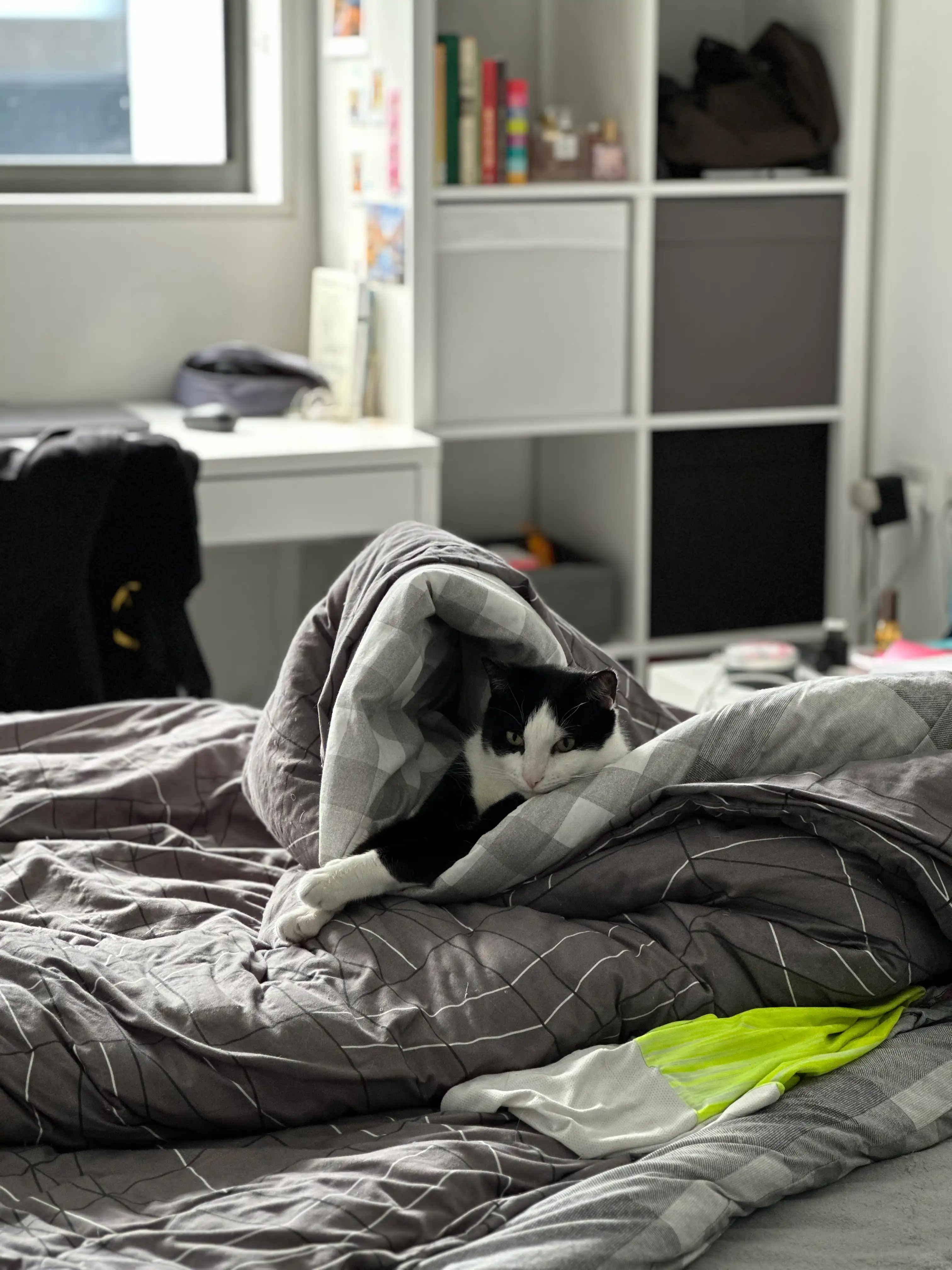 image-14