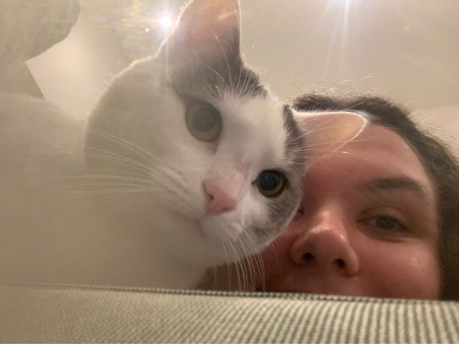image-8