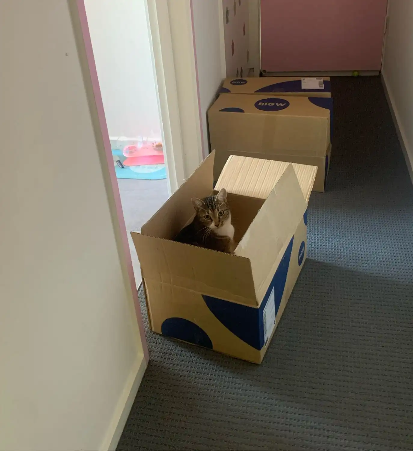 image-16