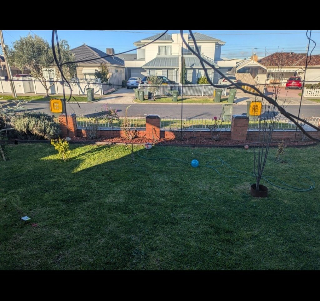 image-5