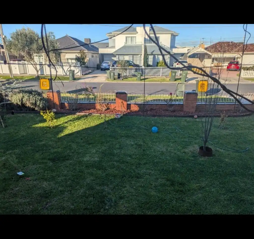 image-5