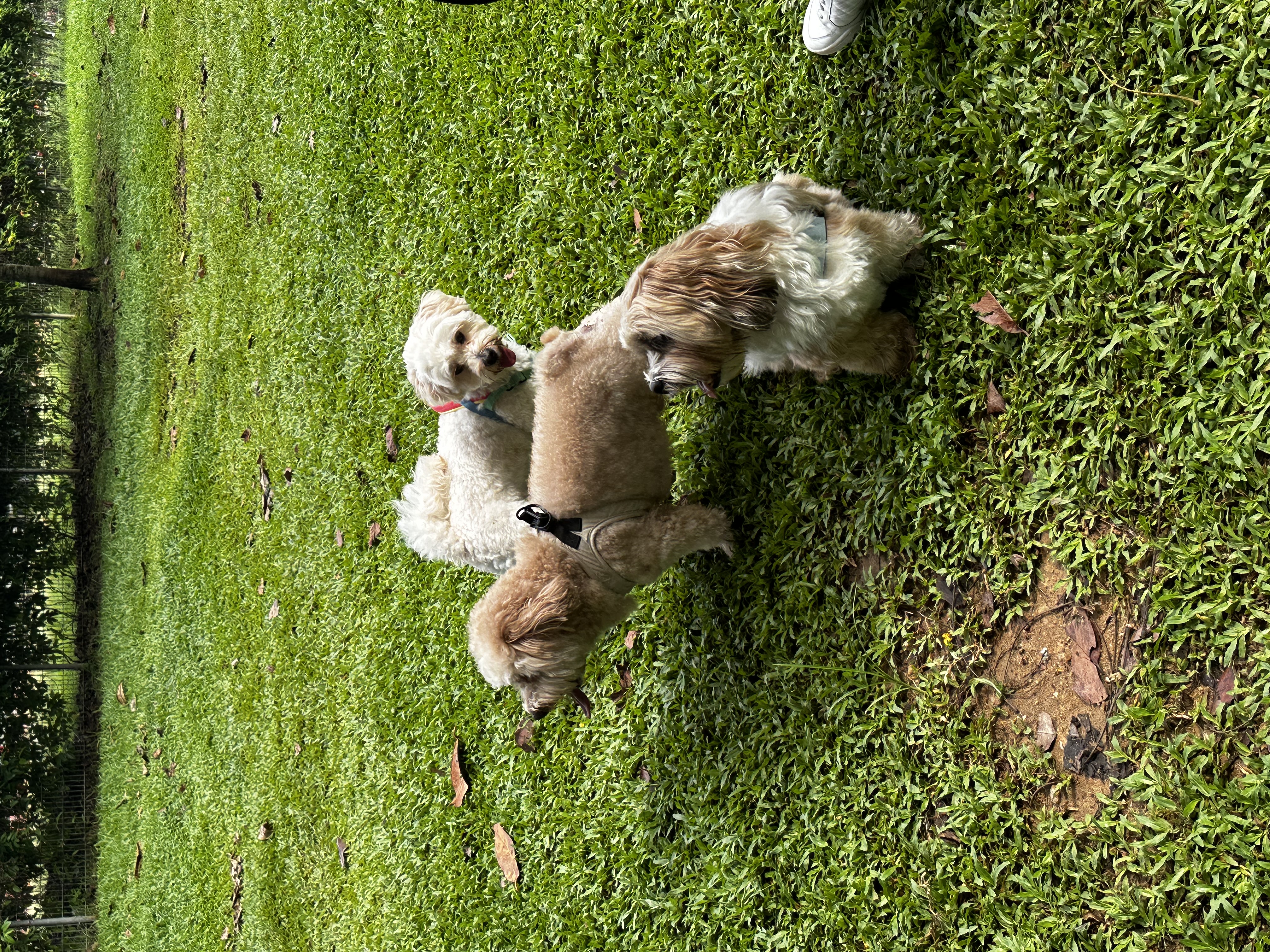 image-17