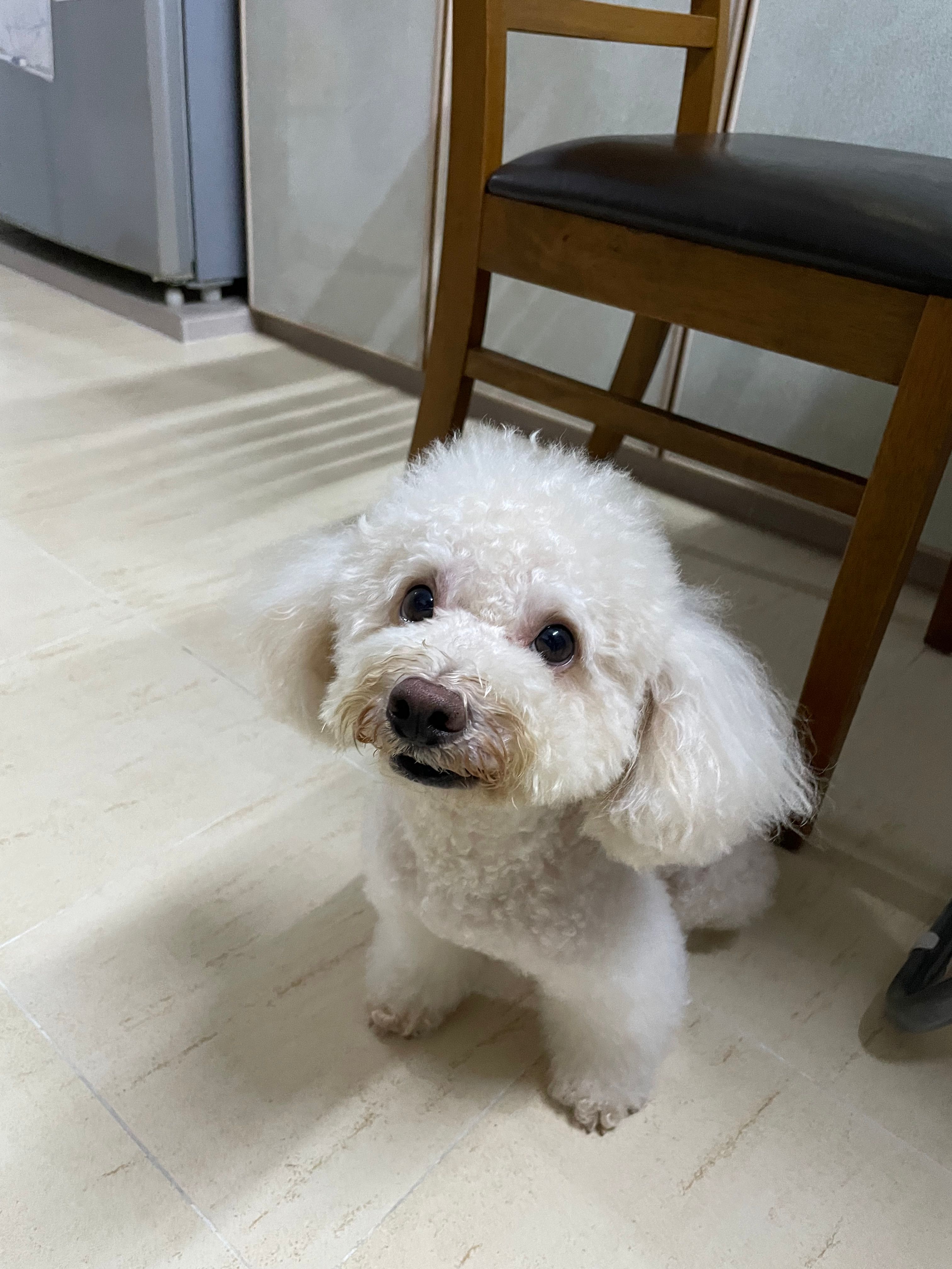 image-37