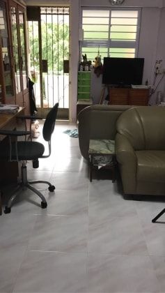image-15