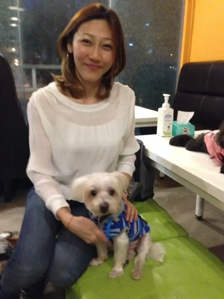 image-7