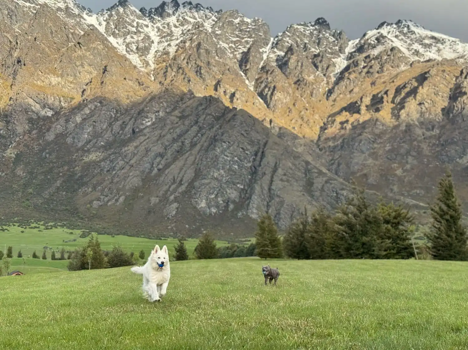 image-5