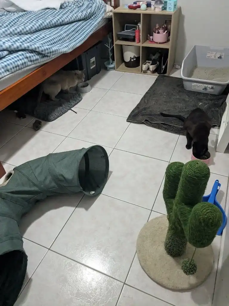 image-38