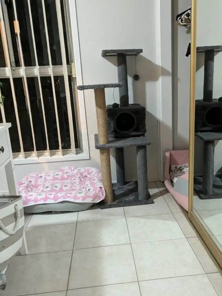 image-18