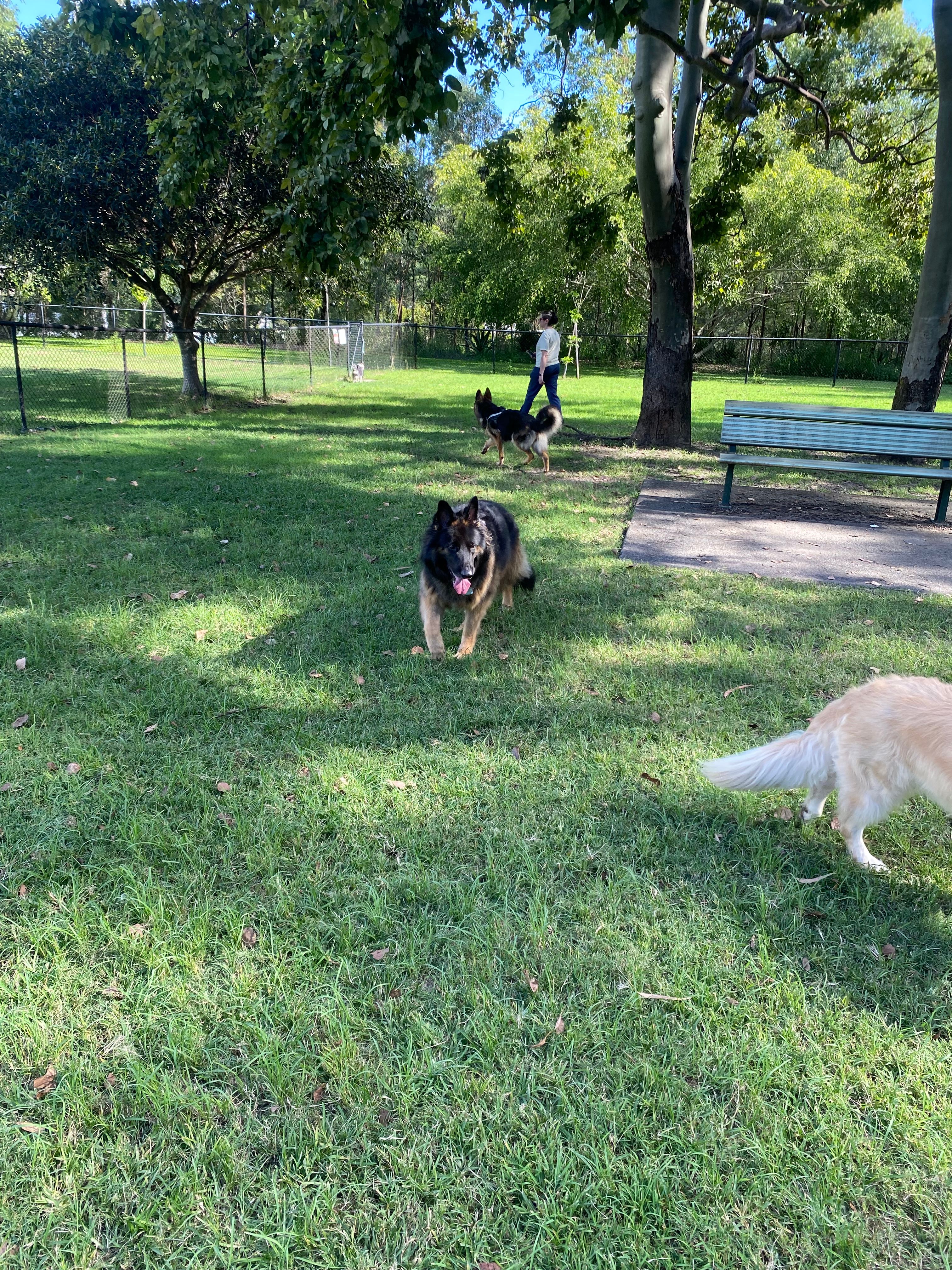 image-18