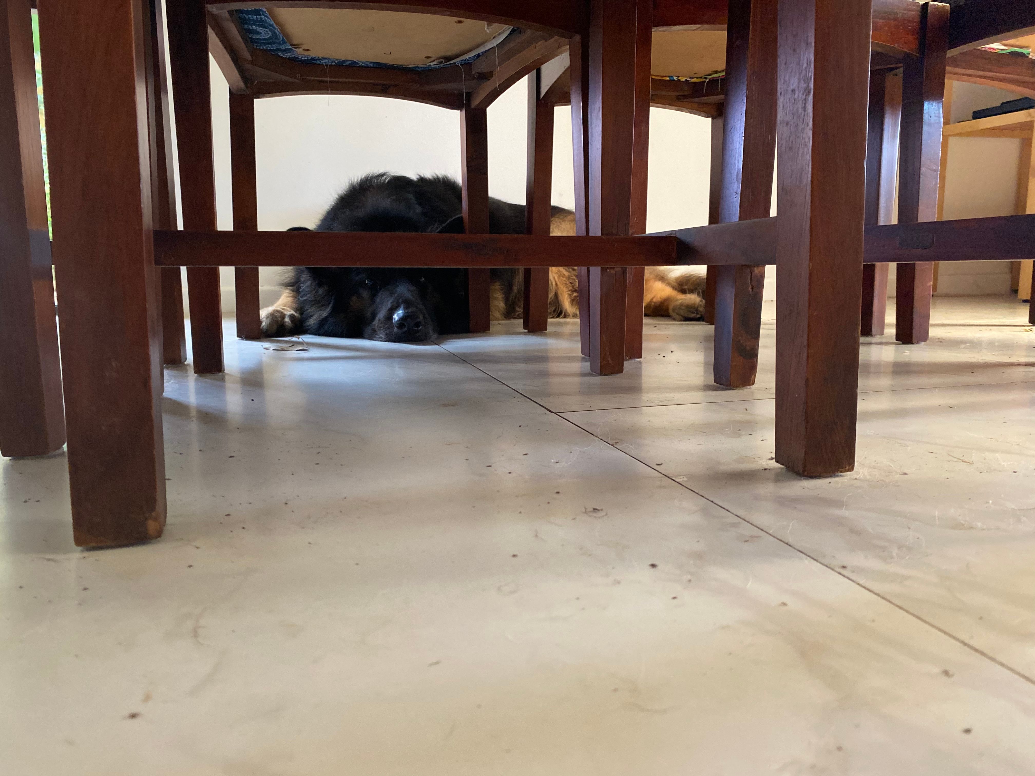 image-19