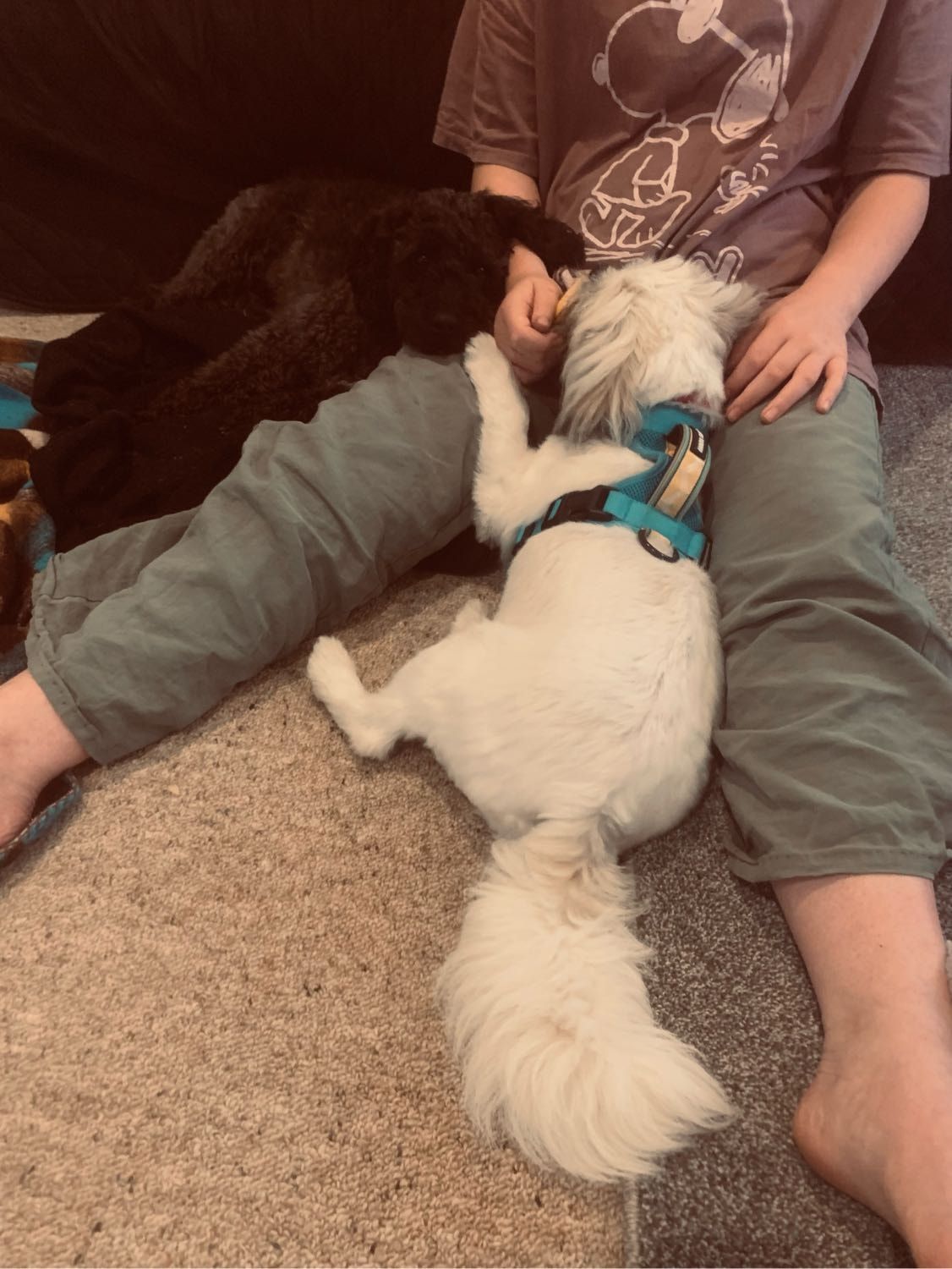 image-18