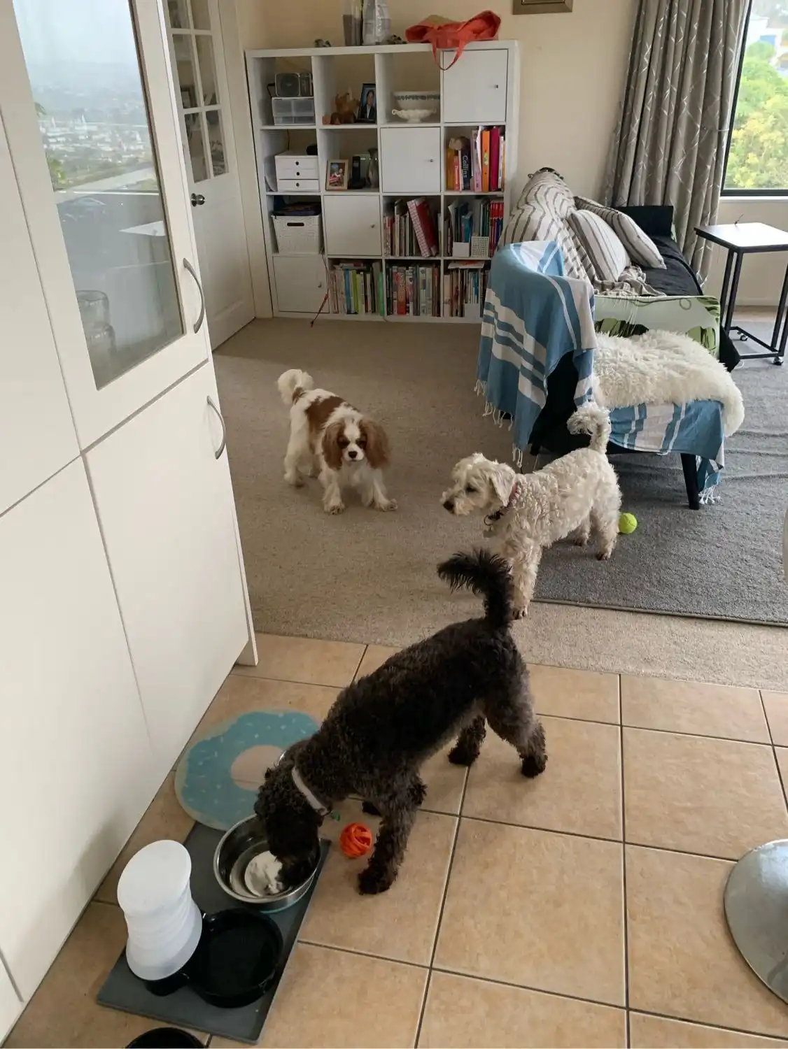 image-12