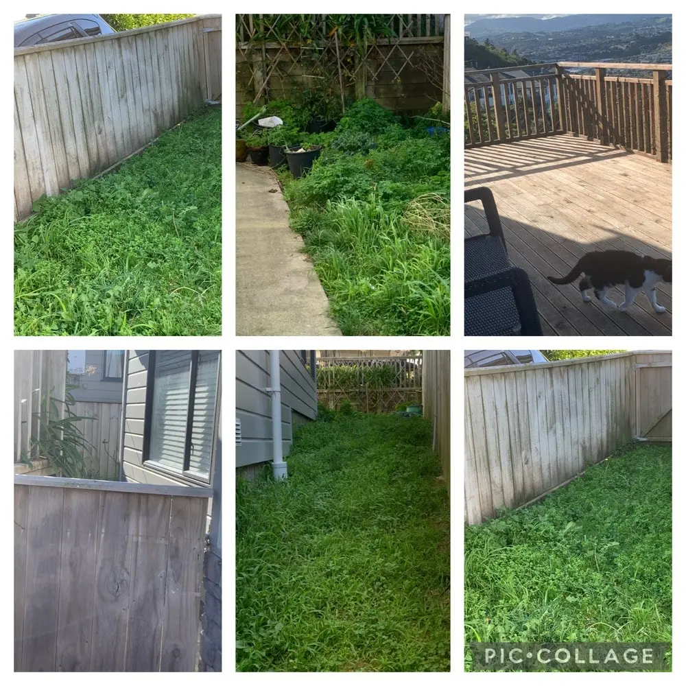 image-3