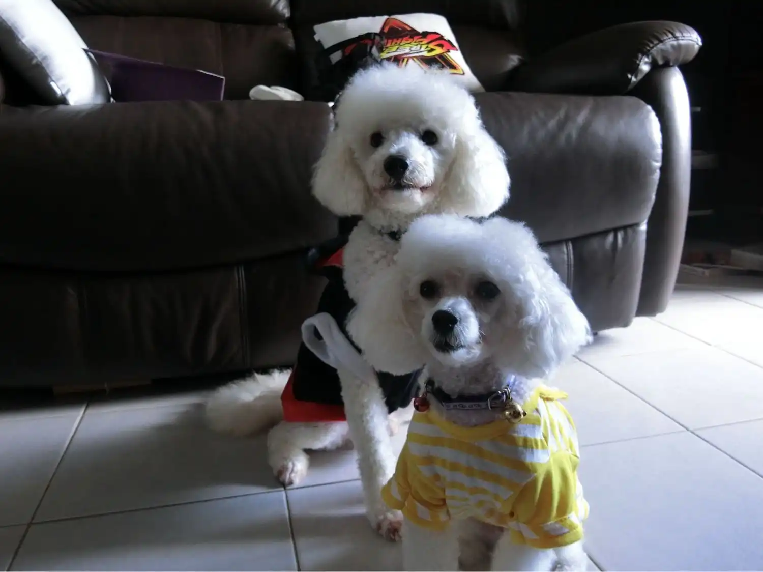 image-5