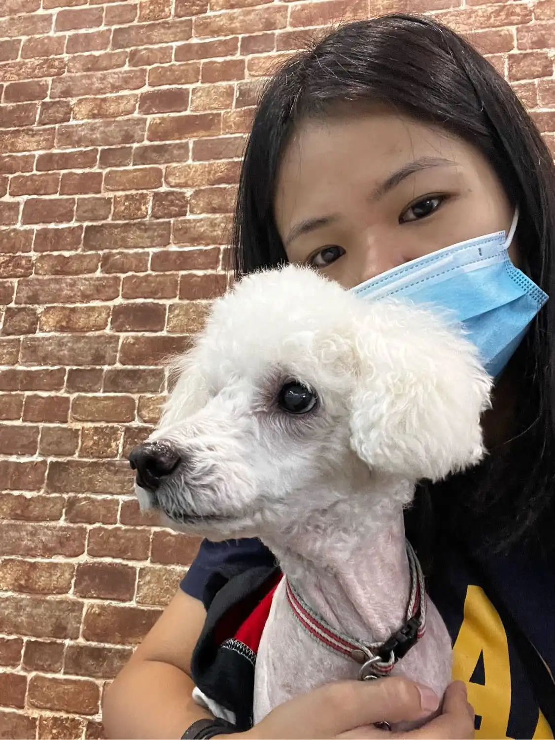 image-6