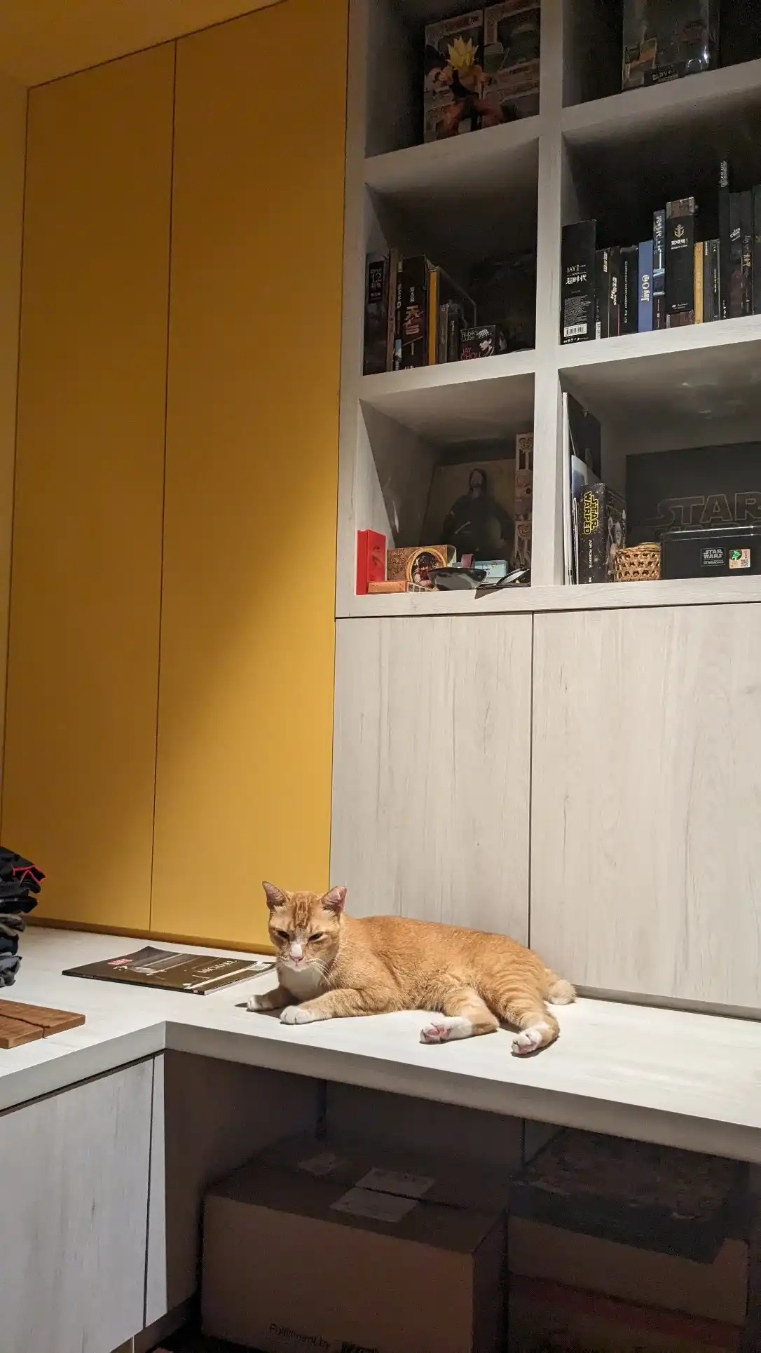 image-13