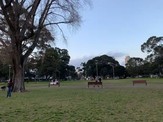 image-13