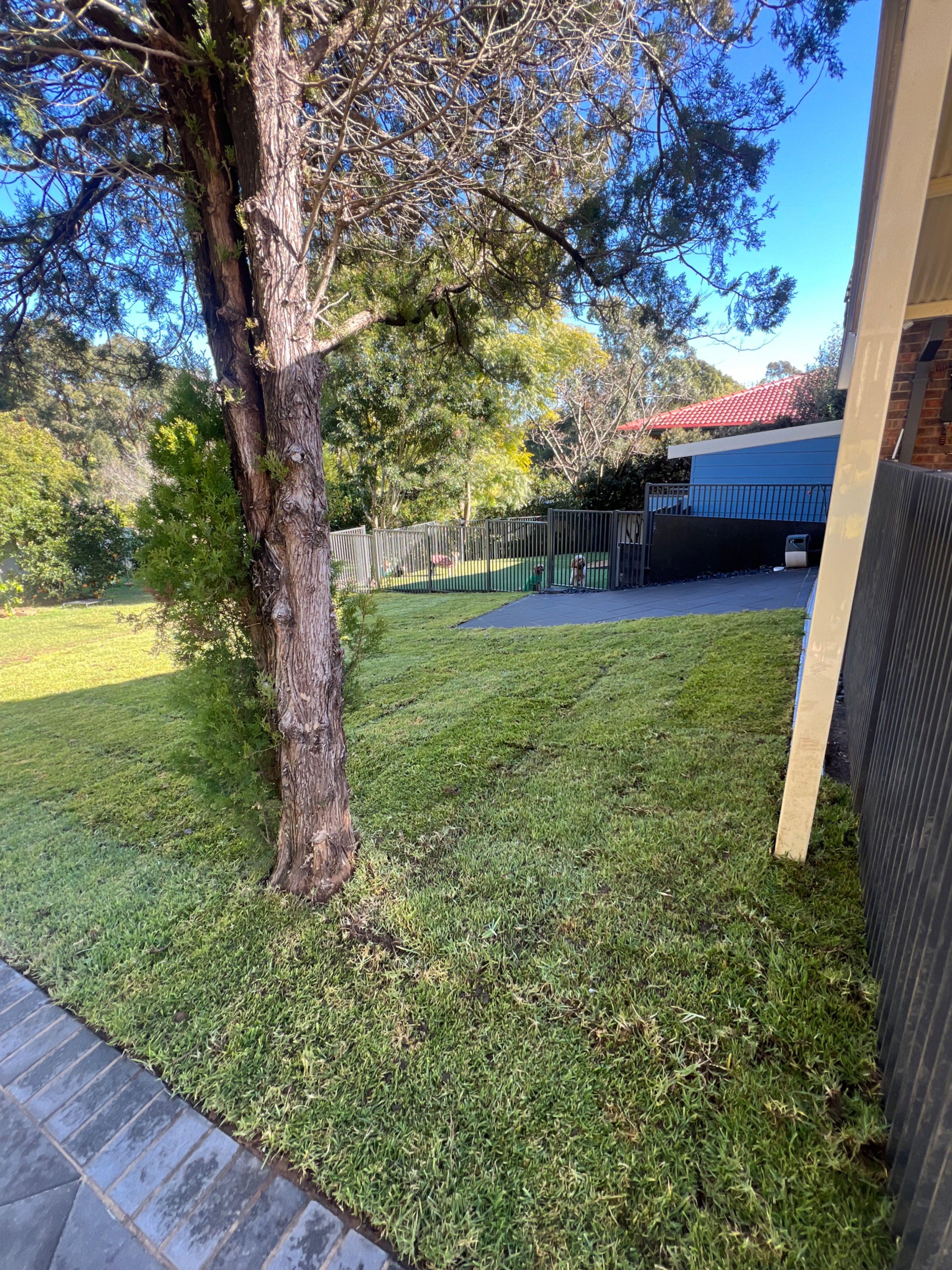 image-13