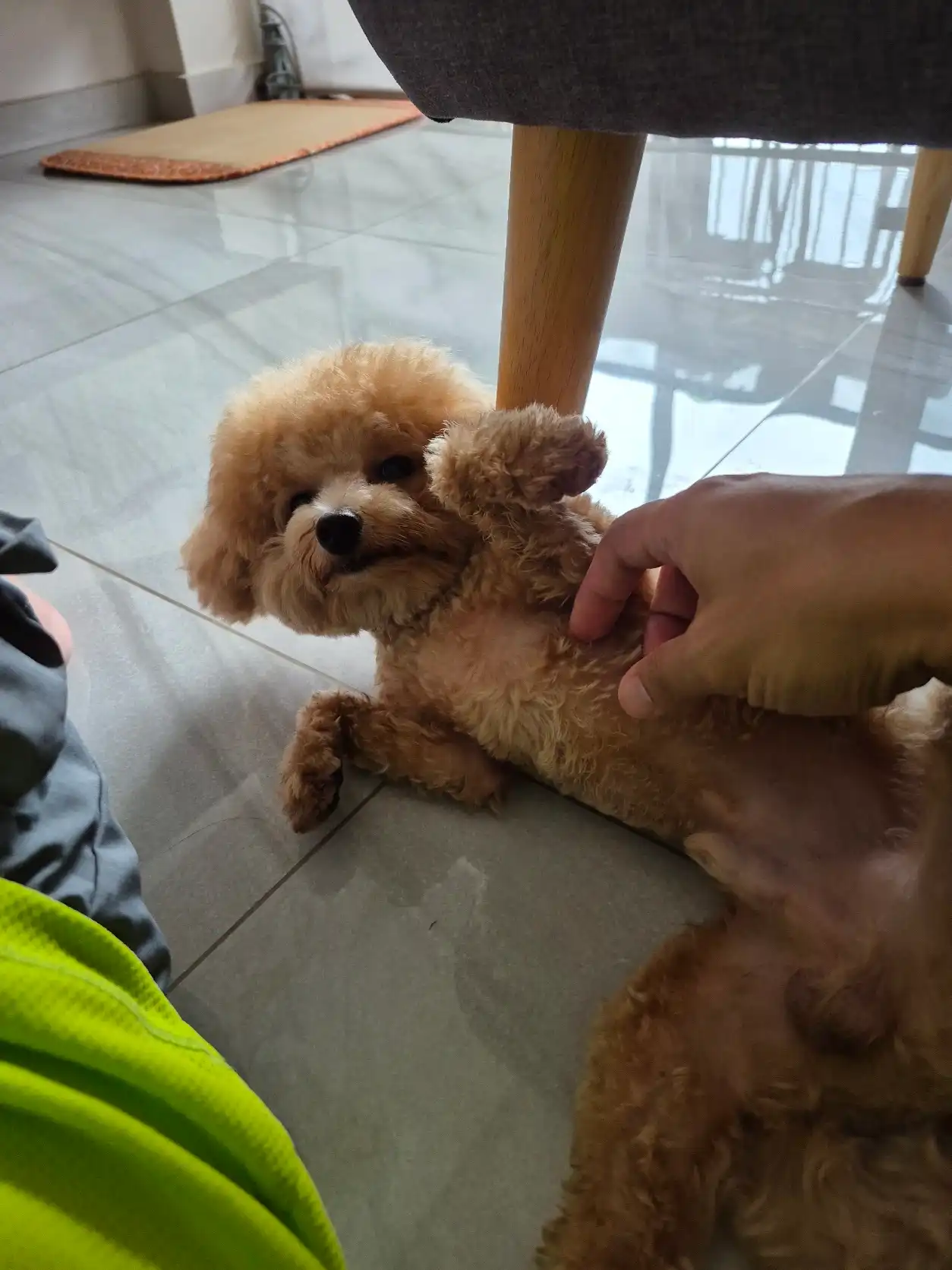 image-13