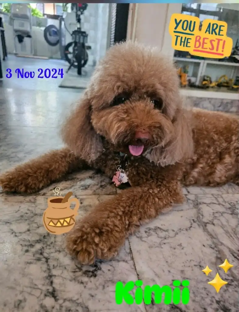 image-12